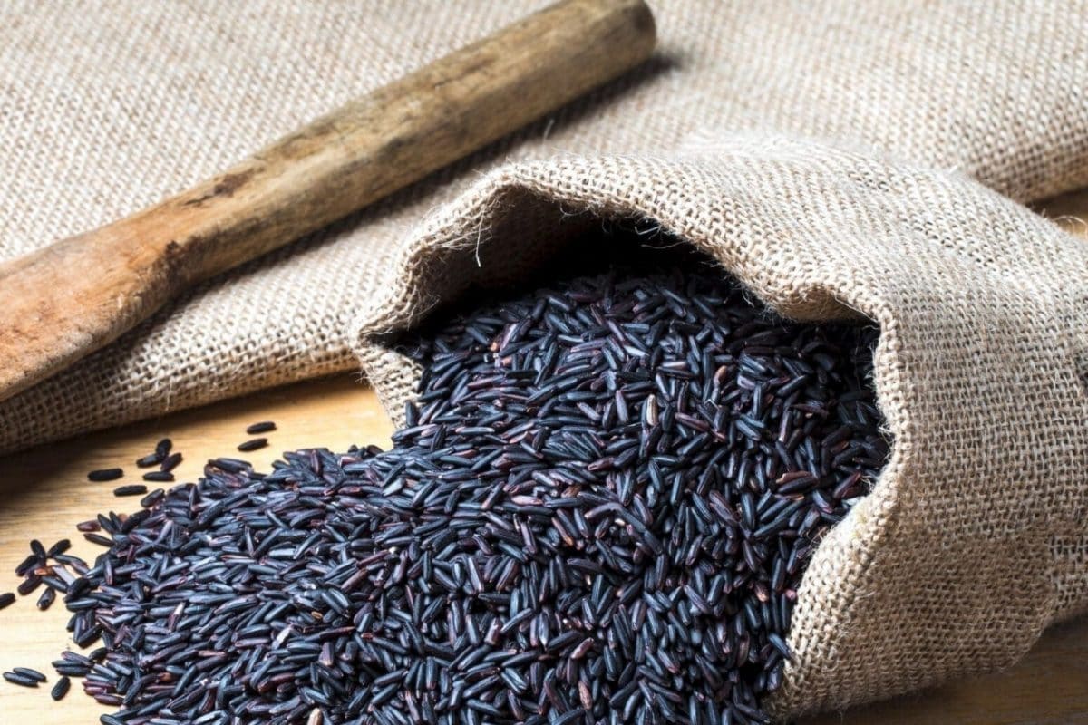 Rice grains